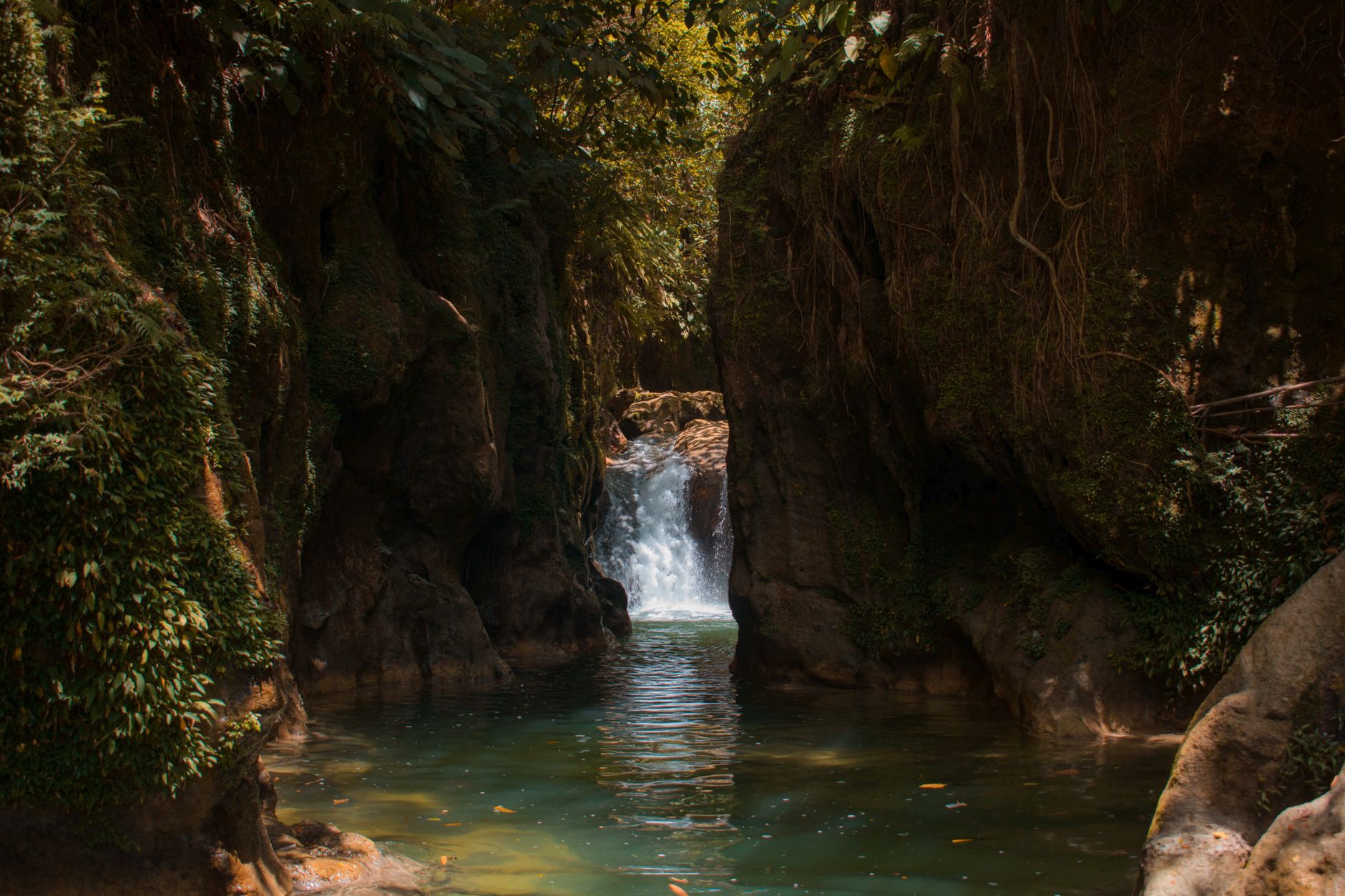 Waterfall in a wooded gorge