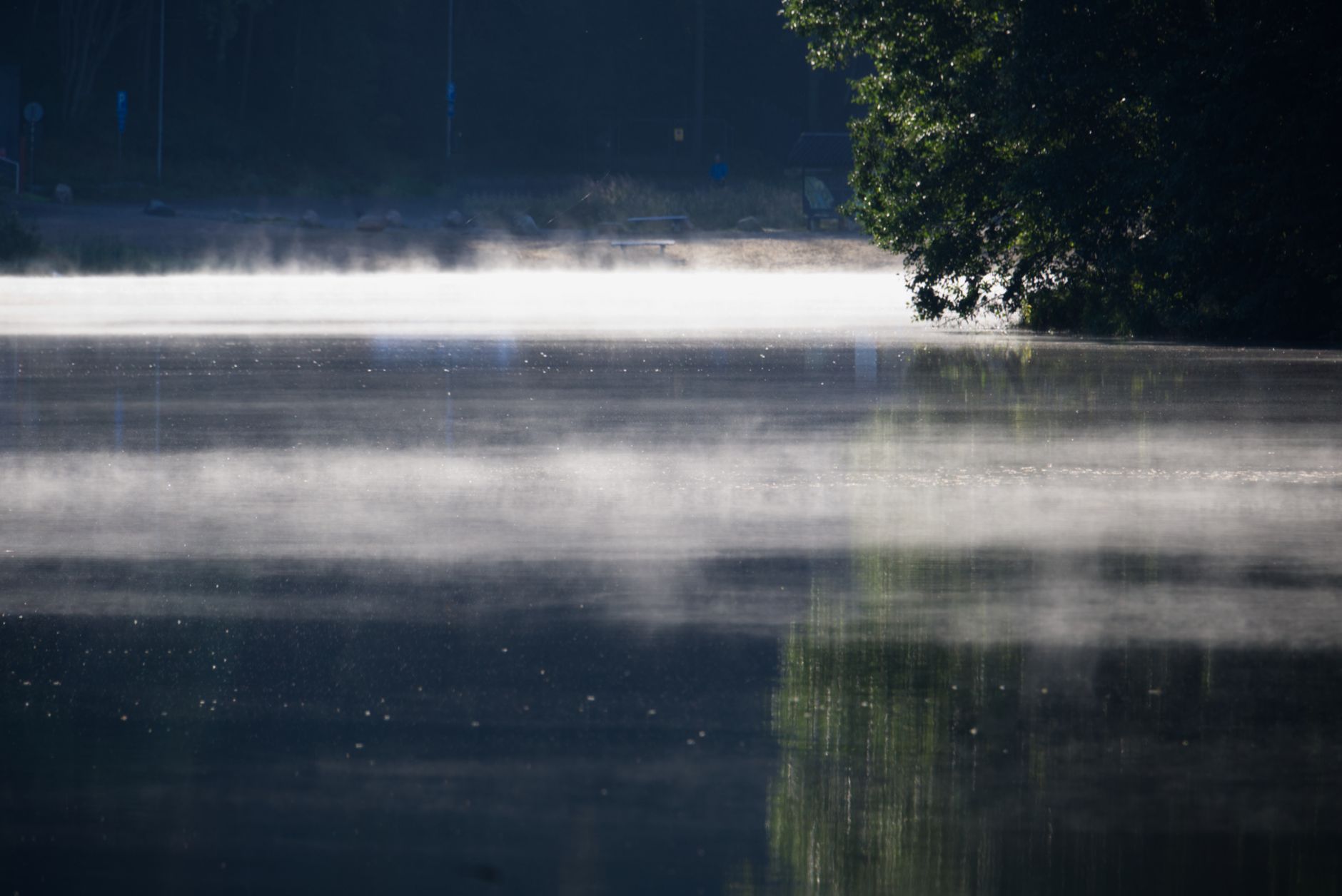 Mist rising off a calm lake at dawn